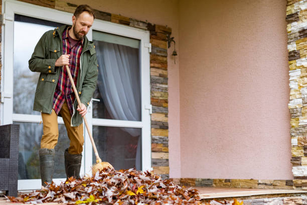 Best Yard Cleanup Services  in Lexington Hills, CA